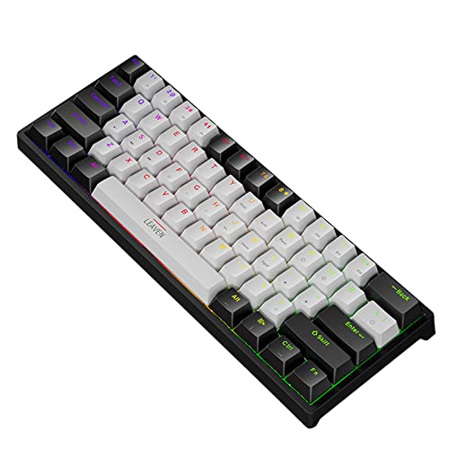 60% Percent Keyboard with Detachable USB-C Small Mechanical Gaming Keyboard Portable 61 Keys Wired Keyboards with Variety RGB Backlit Waterproof White Gaming Keyboards Mini for Pc 11.81x4.13x1.38in
