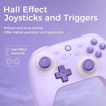 AKNES 8Bitdo Ultimate 2C Wireless 2.4G Controller for Windows PC and Android, Gamepad with Hall Effect Joysticks and Hall Triggers, 1000Hz Polling Rate, Remappable L4/R4 Bumpers - Purple | Gamepad with Hall Effect Joysticks and Hall Triggers, 1000Hz Polli