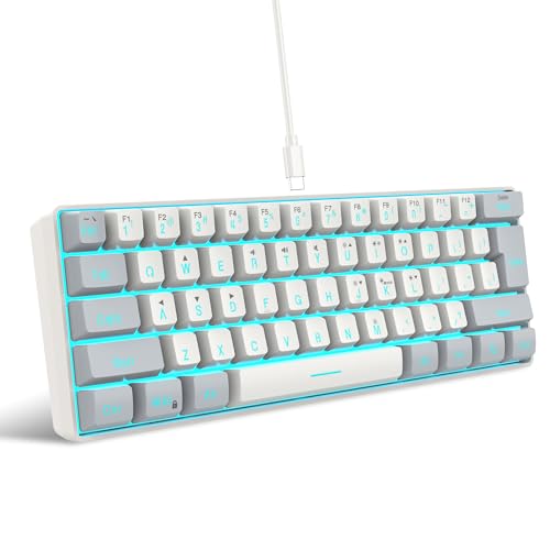 Snpurdiri 60% Wired Gaming Keyboard, 61 Keys RGB Backlit Small Gaming Keyboard for PC/Mac Gamer, Typist, Travel, Easy to Carry on Business Trip(Grey-White) - color: Grey and White