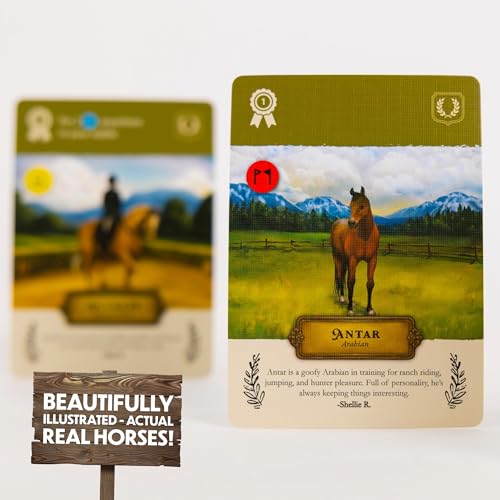 Stable Times Family Card Game with Real Horses | Cozy Board Game for Kids and Adults, Great for Family Game Night, Ages 8+, 1-5 Players, 20-30 Minutes