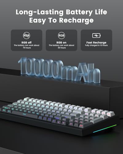 X98 Wireless Mechanical Keyboard, RGB Backlit Custom Gaming Keyboard with Number Pad, BT5.0/2.4GHz/USB-C, Gasket Structure, Hot Swappable Pre-lubed Linear Switch, Side Printed PBT Keycaps
