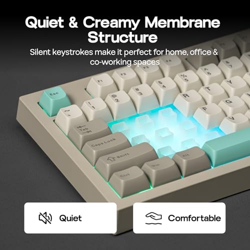 EPOMAKER Aula S102 PRO Membrane Gaming Keyboard w/TFT Screen & Volume Knob | Silent Keyboard w/ Number Pad for PC Game/Office, BT/2.4G/USB, RGB Backlit, Creamy Silicone Structure (Grey) - color: Grey