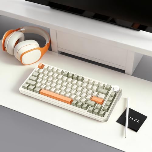 AK820 Max Tri-Mode Mechanical Keyboard, 2.4G Wireless/Bluetooth/USB-C, 75% 82Key Compact Layout, 8000mAh Battery, Hot-Swappable Gasket Mount, PBT Keycaps, RGB Backlit, Metal Knob (Fish Switch, Grey) - color: Retro