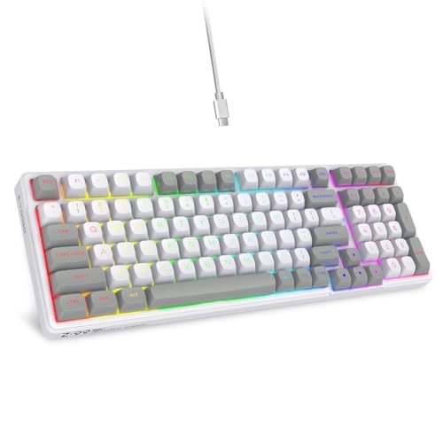 HUO JI Z-99 Wired Mechanical Keyboard, Creamy Sound, Hot Swappable Pre-lubed Linear Switches, Gasket Structure with Sound Dampening Foam, RGB Backlit, 99 Keys Custom Gaming Keyboard for PC/Mac,Gray - color: White Gray