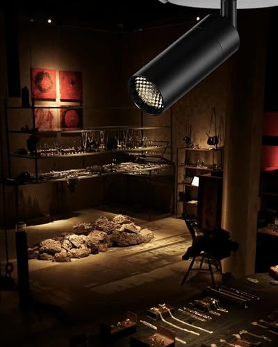 Zoomable LED Ceiling Spotlight Fixture, Flush Mount Adjustable Spotlight, Indoor Bright Accent Monopoint Fixture for Living Room Bedroom Loft Cafe Bar - color: Embedded-Black, size: 7W-2700K