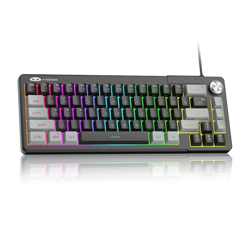 MageGee Mini 60% Gaming Keyboard, RGB Backlit 68 Key Ultra-Compact Keyboard, TS68 Ergonomic Waterproof Mechanical Feeling Office Computer Keyboards for PC, MAC, PS4, Xbox ONE Gamer - color: Gray Black RGB