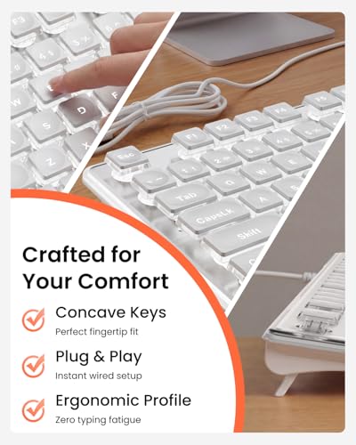 SEUNKWANG Wired Backlit Keyboard with Pudding Keycaps, Quiet Full Size Computer Keyboard White Backlight Easy-to-Read, Never Fade, Metal Panel, USB Cute Desk Setup for Windows PC Desktop, White - color: White