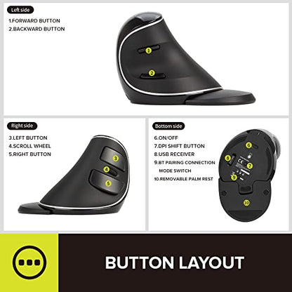 DELUX Wireless Ergonomic Vertical Mouse, Rechargeable Ergo Mouse for Large Hands, Slient Click, Removable Wrist Rest, Up to 4000 DPI, 6 Buttons,2.4G Dual Mode, Compatible with Laptop/PC (M618PD-Black) - color: Bluetooth+2.4G