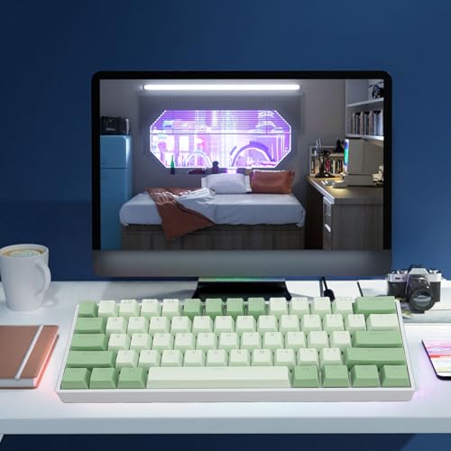 60 Percent Mechanical Keyboard, Compact Hot Swappable RGB Backlit Wired Gaming Keyboard, Red Switch for PC Office Work