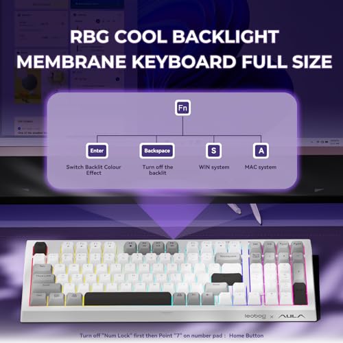 LEOBOG x Aula Wireless Keyboard 98 Keys Membrane Computer Keyboards | Silent Keyboard, 2000mAh Creamy Keyboard with Number Pad, Tri-Mode BT/2.4GHz/USB-C Connection for PC MAC Office Dorm Rooms - color: Black & White & Grey