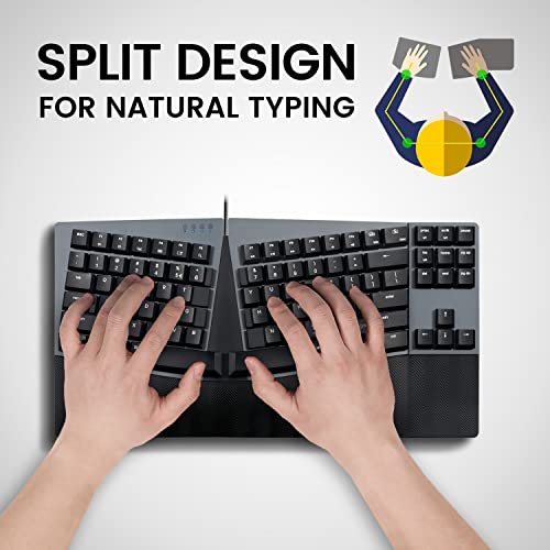 Perixx PERIBOARD-335RD Wired Ergonomic Mechanical Compact Keyboard - Low-Profile Red Linear Switches - Programmable Feature with Macro Keys - Compatible with Windows and Mac OS X - US English - style: Wired Linear