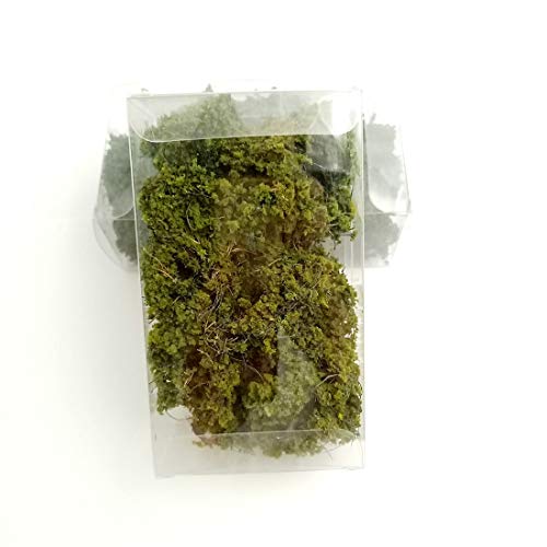 Warmtree Miniature Shrubs for Diorama, Terrain Model Kit Bushes | Simulation Landscape War Gaming Terrain Decoration Railroad Scenery War Gaming Scenery Gamers Grass Tufts Battlefield