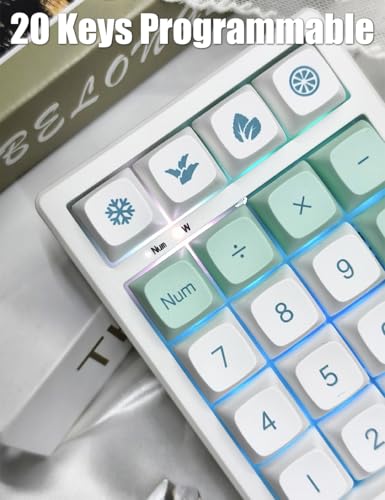 Gasket Creamy Mechanical Numpad Programmable Keypad 2.4G/BT/USB-C | Macro Numeric Number Pad Wireless 2.4G/Bluetooth 5.0/Wired USB RGB Backlit Hot Swappable Rechargeable PBT Keycaps for Win/Mac - color: Mint (21 Keys)