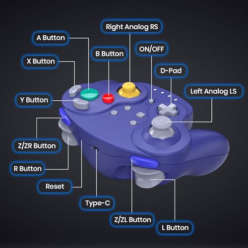 Wireless GameCube Controller for NGC Console, 2.4 GHz Receiver, Indigo | (Built-in Vibration) (Rechargeable) (Analog Triggers / Stick) - color: NGC Receive Indigo