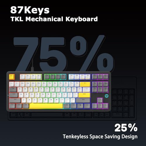 AK870 87Keys Hot-Swappable Mechanical Keyboard, Gasket Mount Wired Gaming Keyboard with Linear Flying Fish Switches, 80% Compact, PBT Keycaps, RGB Backlit for PC Gamers & Typists (Starry Night Grey) - color: AK870 Flying Fish Switch Starry Night Grey, siz