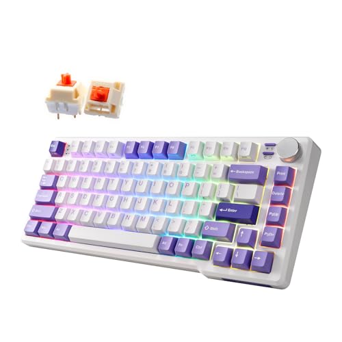 iRocks K103R Wireless Rechargeable RGB 75% Mechanical Gaming Keyboard, Hot Swappable Pre-lubed Switches, 81 PBT Keys, Gasket Mount, USB-C Detachable Cable (Lavender Purple, Bubble Switch) - color: Lavender Purple, size: Bubble Switch