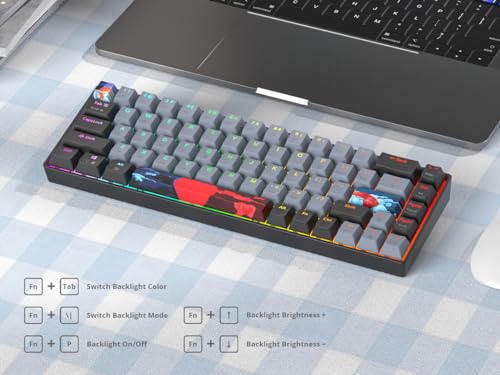 Grey and Black Mechanical Gaming Keyboard 65 Percent, Red Switch RGB Keyboard 65%, 68 Keys Small Wired Key Board, PBT Keycaps Anti-Ghosting Mini Keyboards for Game/Office (68 Dolch) - color: 68 Dolch/Red Switch