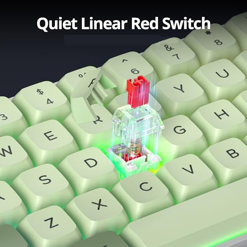 Green 65% Percent Small Mechanical Keyboard, 68 Key RGB Gaming Keyboard, Red Switch USB-C Wired Keyboard, PBT XDA Keycaps Compact Mini Key Board for Game, Office (68 Matcha) - color: 68 Matcha/Red Switch