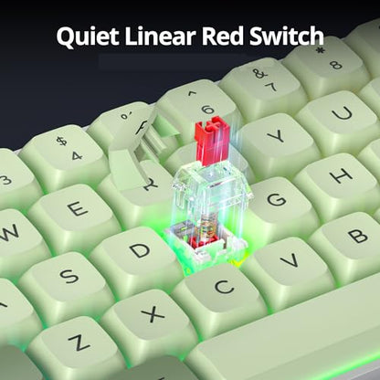 Green 65% Percent Small Mechanical Keyboard, 68 Key RGB Gaming Keyboard, Red Switch USB-C Wired Keyboard, PBT XDA Keycaps Compact Mini Key Board for Game, Office (68 Matcha) - color: 68 Matcha/Red Switch