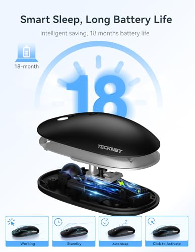 TECKNET Wireless Mouse, 2.4G Computer Mouse for Laptop, 4800 DPI Silent Mouse with USB Receiver, Slim Portable Travel Mouse Compatible with MacOS Windows Android PC Chromebook, 18 Months Battery Life - color: Black & Grey