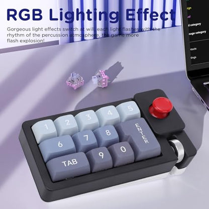 Fabater Mechanical Number Pad, Wired USB Numeric Keypad with 12 RGB LED Backlight and Joystick Roller, 12 Keys Macro Keyboard for Laptop PC Gaming, Numpad for Laptop Computer (Black) - color: Black