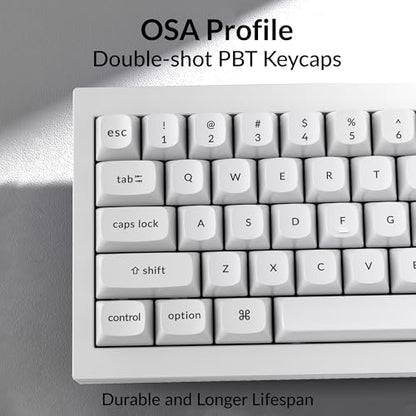 Keychron Q4 Wired Custom Mechanical Keyboard, QMK/VIA Programmable Macro, Full Aluminum, Hot-Swappable Gateron G Pro Blue Switch, 60% Layout Double Gasket Compatible with Mac and Windows - White - color: White (Gateron G Pro Blue Switch)
