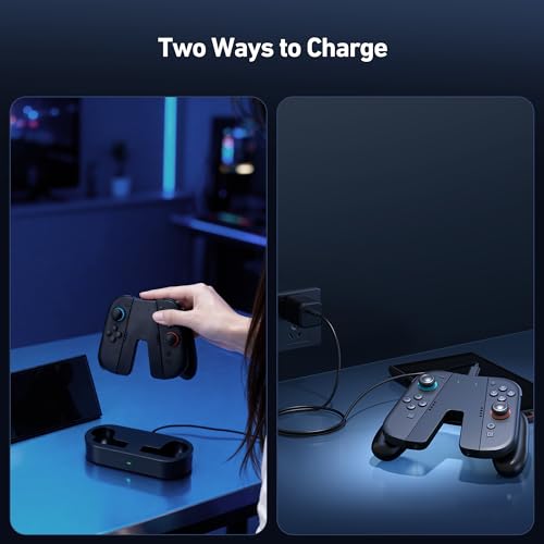 NEWDERY Charging Grip & Charging Dock for Switch 2 | Magnetic Grip Controller Compatible with Switch 2 Joycons, Play While Charging with LED Indicator, Black
