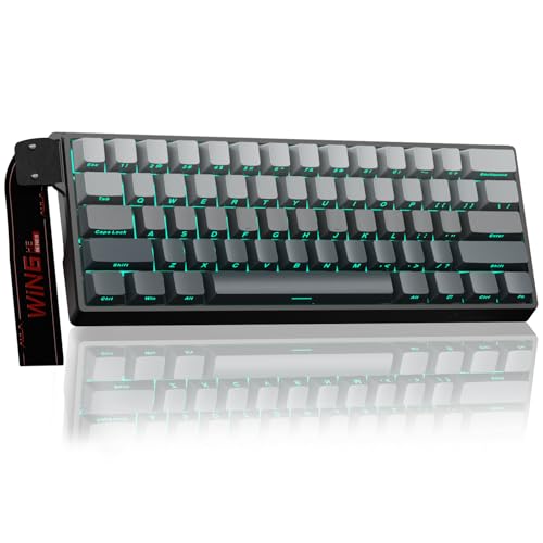 Aula WIN60 HE - 60% Mechanical Gaming Keyboard Wired, Hall Effect Magnetic Switch Hot Swappable,8000 Hz Polling Rate, RGB Keyboard 60 Percent Compact Design for PC (Gradient Gray) - color: Gradient Gray