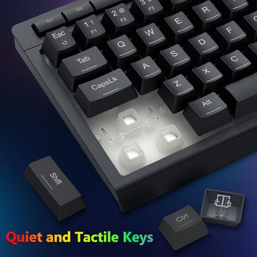 Redragon 60% Wired Gaming Keyboard and Mouse Combo, RGB Backlit, Black | Mini Macro Membrane Keyboard with Anti-Ghosting & Multimedia Keys + 8000 DPI Programmable Optical Mice for PC Laptop