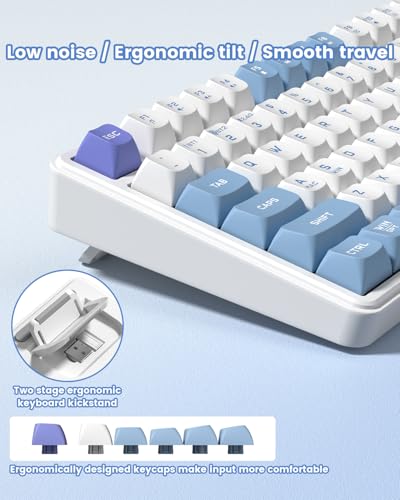 Womier DK75 75% Wireless Gaming Keyboard, RGB Backlit Creamy Keyboard with Media Knob, OLED Screen, Tri-Mode 2.4GHz/USB-C/BT5.0, Anti-Ghosting No-Conflict Silent Membrane Keyboard for MAC Windows - color: Blue&Purple