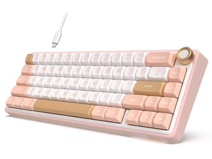 RK ROYAL KLUDGE R65 Wired Mechanical Keyboard with Volume Knob, 60% Percent RGB Backlit Gasket Mount Gaming Keyboard with PBT Keycaps, MDA Profile, QMK/VIA, 66 Keys Hot Swappable Cream Switch, Pink - color: Pink