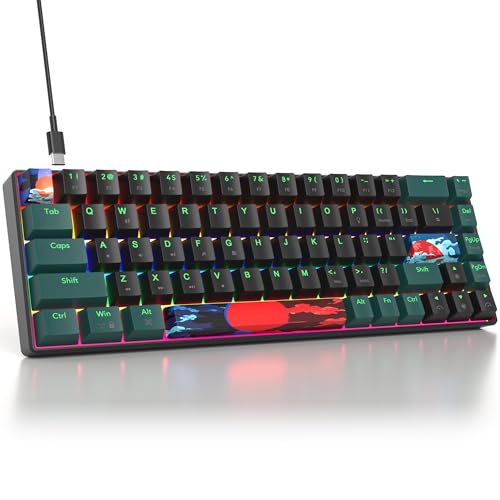 surmen 65% Mechanical Gaming Keyboard with Linear Red Switch, Wired Mini Compact Keyboard 60 Percent Backlit for Laptop Desktop PC Gamers（68 Sound Wave B-Rainbow） - color: 68 Sound Wave B-Rainbow