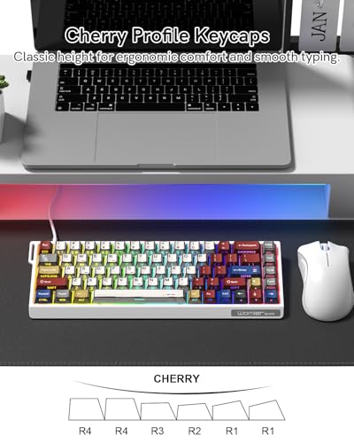 SK68 65% Gaming Keyboard, Wired Backlit Mini Keyboard w/100% Hot-Swap Socket 68 Keys Aluminum Gaming Wired Keyboard for PC Laptop Game - color: White