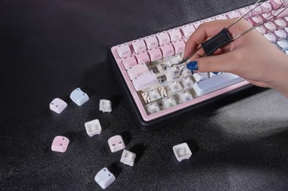 ZORNHER UR82 Wireless Mechanical Keyboard,75% Creamy Keyboard with Cute Cat-Ear Shine Through Keycaps, Hot-Swappable RGB Gaming Keyboard for Windows/Mac, BT/2.4G/USB-C,Bubble Cat Pink Blue - color: Bubble Cat