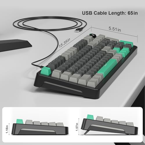 AK96 Mechanical Keyboard Smart Display & Knob, Top Mount 96% Wired Mechanical Keyboard USB-C, Hot Swappable, Software Support, Creamy Sounding, 96 Keys (Black) - color: Black