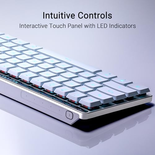 ASUS ROG Falchion RX Low Profile Wireless Gaming Keyboard – 65% Compact TKL, Tri-Mode Connectivity, ROG RX Red Optical Switches, RGB, Touch Panel, Keyboard Cover, PC/Mac Support - White - color: White, size: Red Switch (Low Profile), style: Low Profile Re
