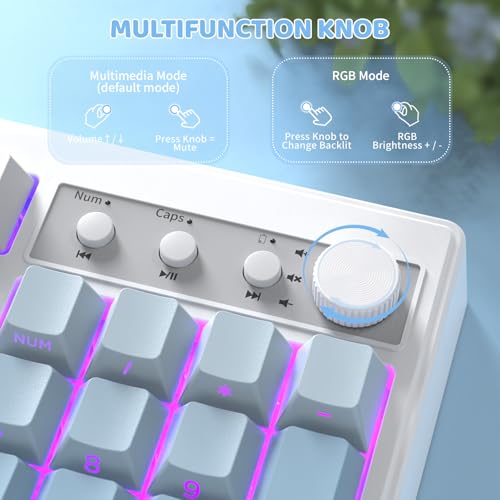FREEWOLF K100 99 Keys Gaming Membrane Wireless Keyboard with Media Knob,Tri-Mode BT/2.4GHz/USB-C,Side Printed Keys RGB Backlit Retro Cute Creamy Silent Computer Keyboard for MAC PC- Gradient Blue - color: Gradient Blue