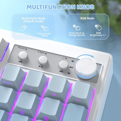 FREEWOLF K100 99 Keys Gaming Membrane Wireless Keyboard with Media Knob,Tri-Mode BT/2.4GHz/USB-C,Side Printed Keys RGB Backlit Retro Cute Creamy Silent Computer Keyboard for MAC PC- Gradient Blue - color: Gradient Blue