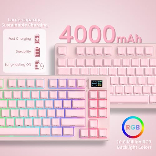 Womier 75% Pink Keyboard Wireless with Color Multimedia Screen | Creamy Mechanical Gaming Keyboard, 3-Modes Hot Swap Cute Key Board w/Wrist Rest, Gasket RGB Custom for Mac/Win (SK80 PRO) - color: Pink