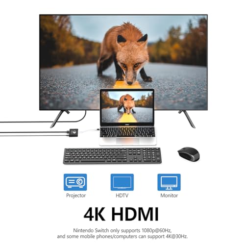 Switch1 Dock,Switch TV Dock TV Docking Station for Nintendo Switch/Switch OLED/Steam Deck,HDMI 2.0 4K@30HZ Portable with PD 100W Charging, USB 3.0 Port（3-in-1）