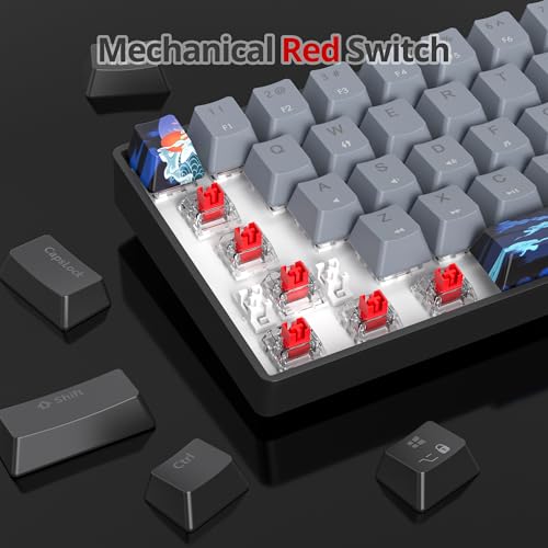 60% Mechanical Keyboard Wired Clicky Blue Switch RGB Backlight | 60 Percent 61-keys Compact Layout Gaming Keyboard TKL Ultra-Compact Mini RGB Backlit - color: 61 Dolch/Blue Switch