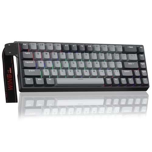AULA WIN68 HE PRO - Hall Effect Gaming Keyboard with Magnetic Switch, Fast Trigger Mode Adjustable Actuation, 8KHz Polling Rate, Wired RGB Backlit Mechanical Gaming Keyboard 60 Percent Compact Design - color: Grey-pro version