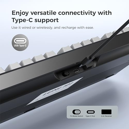 LUMI101 Wireless Mechanical Keyboard,Full-size keyboard with numeric keypad，Tri-Mode BT5.0/2.4GHz/USB-C Hot Swappable Custom Keyboard,RGB Backlit Computer Gaming Keyboards for PC/Tablet/PS/Xbox(Black) - color: Black