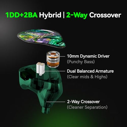 Tipsy M3 Professional IEM for Musicians, 2BA + 1DD Drivers, 36dB PNC, IPX5, Acoustic-Runway™ Technology, Skin-Friendly Resin, Detachable 0.78mm 2-pin Cable (No Mic, Black&White) - color: B-Black&White