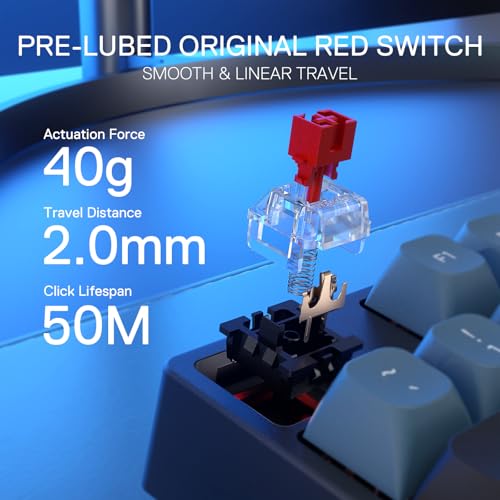 Redragon K582 SE Wired RGB Mechanical Gaming Keyboard, 104-Key, PBT Keycaps | 16.8M Color Immersive eSports Lighting Vibe, Quiet Keystrokes w/ Sound-Absorbing Foam, N-Key Rollover, Customize Software - color: Dark Jade