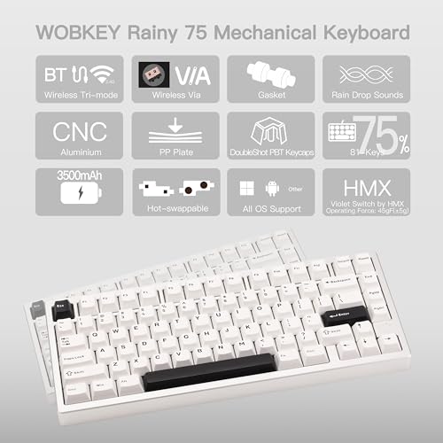 KEEBMONKEY WOBKEY Rainy 75 CNC Aluminum HMX/JWK/Cocoa Switches Triple-Mode Connectivity Mechanical Keyboard with Superior Acoustics, No RGB/PP/Mirrored Glass/3500mAh/Violet Switch (Lite - Silver) - style: Lite - Silver