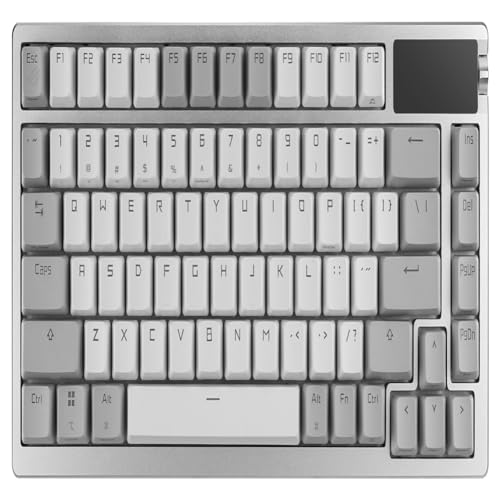 ASUS ROG Azoth Wireless Mechanical Gaming Keyboard – 75% TKL, Tri-Mode Connectivity, Hot Swappable Pre-lubed ROG NX Snow Linear Switches, PBT Keycaps, RGB, OLED Display, PC/Mac Support - White - color: White, size: Snow Linear, style: Azoth