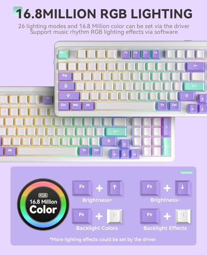 DAREU EK98pro Wireless Mechanical Keyboard, Gasket Hot Swappable Custom Structure, Creamy Pre-lubed Linear Switches, PBT Keycaps, BT5.0/2.4GHz/USB-C, RGB Backlit Gaming Keyboard for Win/Mac - color: Mystic Violet