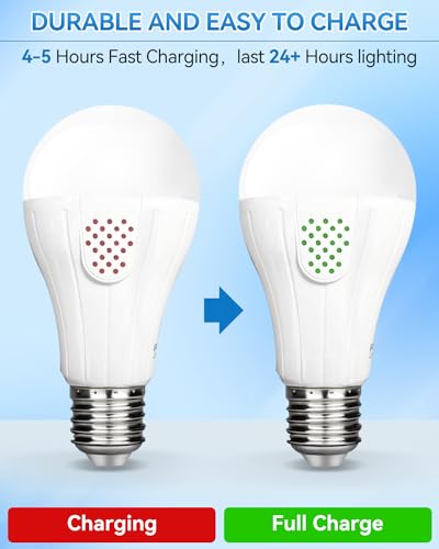 WirelessGlow Rechargeable Light Bulbs with Remote, 3 Color Temperatures and Dimmable Battery Light Bulbs, Touch Control + USB Rechargeable Battery Operated Light Bulb, A19 - color: 3000k-4000k-6500k, size: 4 Count (Pack of 1)