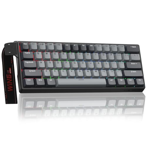 AULA WIN60 HE PRO 60% Mechanical Gaming Keyboard Wired, Magnetic Switch Hot Swappable, Adjustable Actuation Rapid Trigger Mode, 8000Hz Polling Rate, RGB Small Keyboard 60 Percent Compact Design for PC - color: Black Gray, size: Pro Version